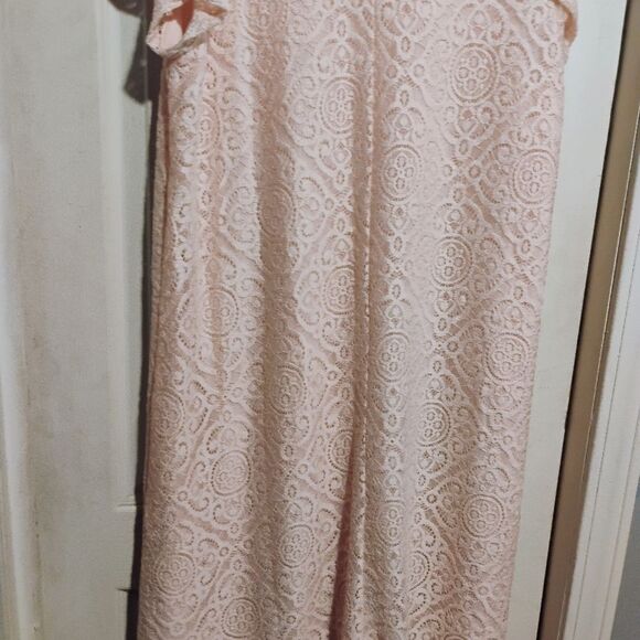 Espresso Soft Pink Lace Mini Dress - Picture 10 of 12